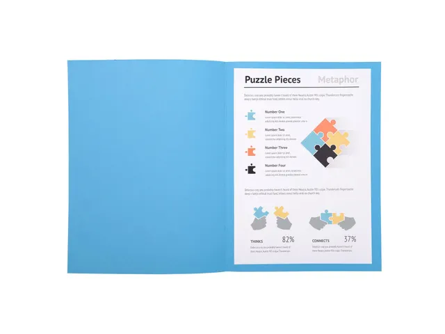 100 Dossiermappen Super 250 24x32cm Assorti