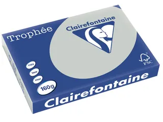 Trophée Pastel A3 160 gram 250 vel lichtgrijs - 2