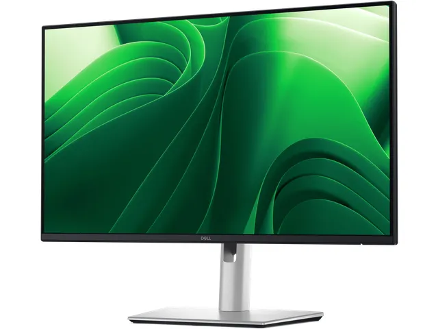 Ecran PC 24 inch LCD DELL Pro Plus P2425DE Quad HD noir/argent
