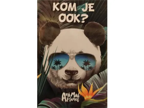 Uitnodigingen Panda 13.5x9cm