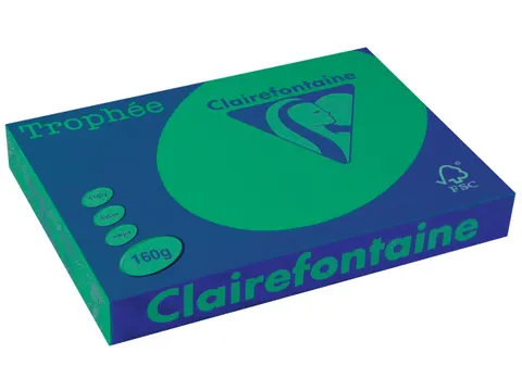 Trophée Intens, papier couleur, A3, 160 g, 250 feuilles, vert sapin