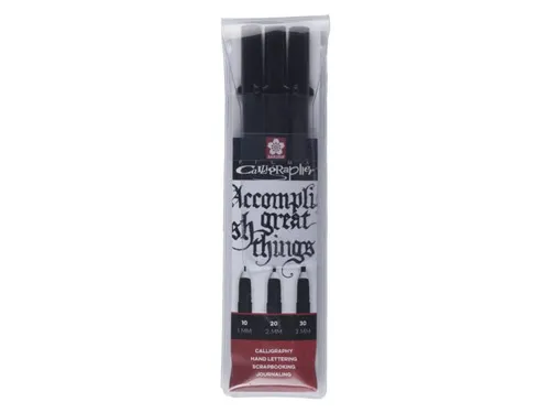 Kalligrafiepennen set Sakura Pigma Calligrapher 3 breedtes zwart