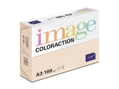 Kopieerpapier Savana Zalm A3 160 Gram 250 Vel