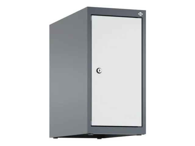 opzetkast,v. locker,1vak.,vak B 250mm,HxBxD 500x250x500mm,vleugeldeur