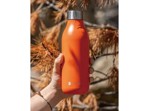 Thermosfles 2.0 Les Artistes Paris 500ml Spice