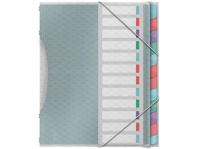 Colour'Breeze sorteermap PP A4 12 tabs assorti