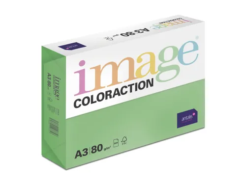 Kopieerpapier Dublin Donkergroen A3 80 Gram 500 Vel