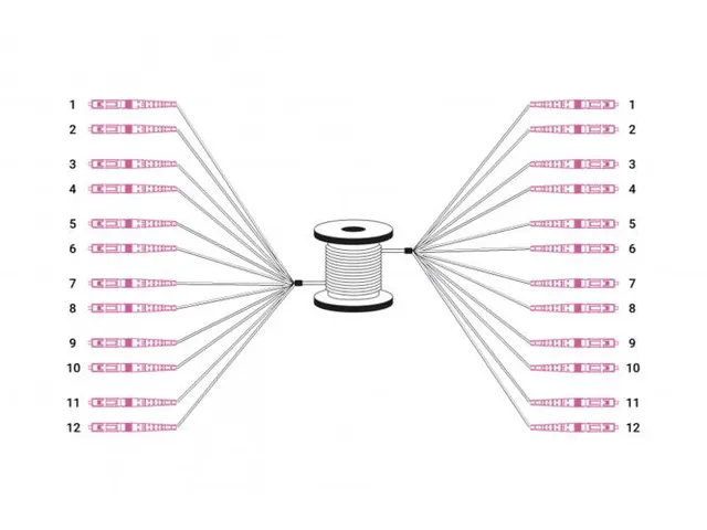Glasvezel Breakoutkabel 12 vezels OM4 LC/UPC-LC/UPC universeel 150m