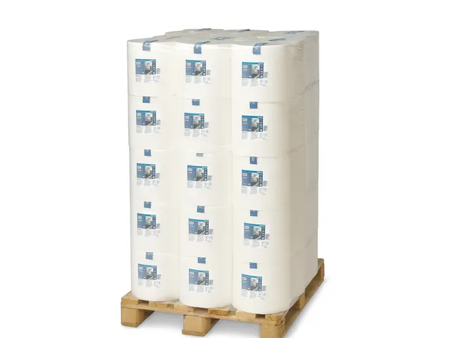 Poetspapier Tork W1 Heavy-Duty Premium 2-laags wit 130060 Pallet
