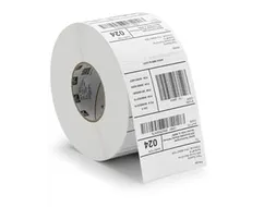 Labeletiket Zebra 2000T 3007204-T 57x102mm wit