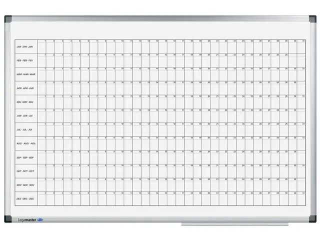 PREMIUM jaarplanner 60x90 cm horizontaal