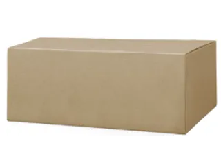 Blanco Industrial Poetspapier 2-laags wit 450mtr/24cm 1.500vel/rol 2st - 2