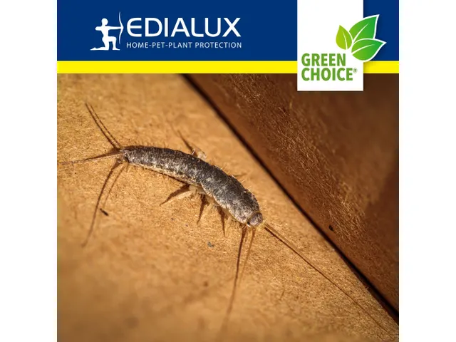 Green Choice Zilvervisjesval 2 Stuks