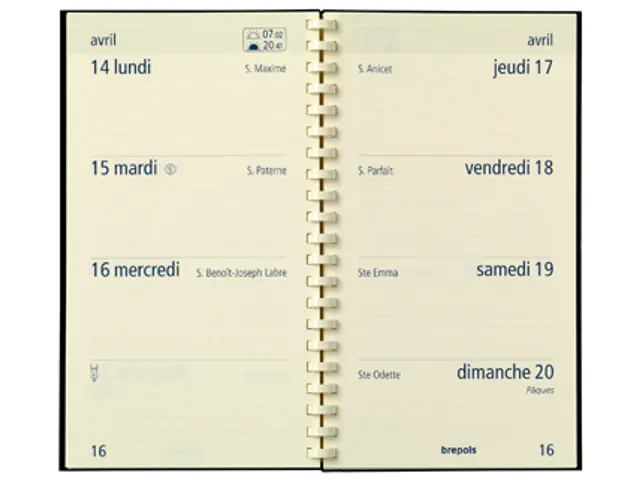 Optivision Franstalig, Palermo, zwart 2026