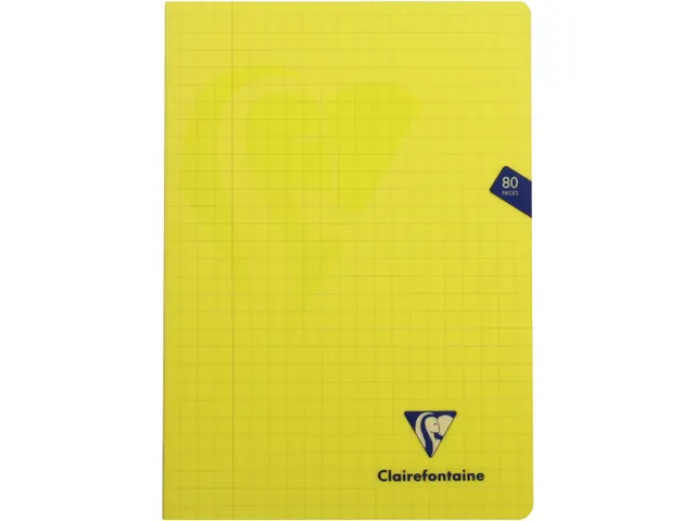 Schrift Pp A4 80Blz ruit 10mm Assorti