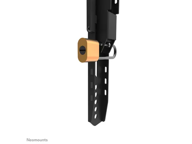 Neomounts LEVEL-750 WL30-750BL14 Support mural fixe robuste pour écra