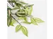 Kunstplant Mica Tradescantia hangend groen 45x25cm