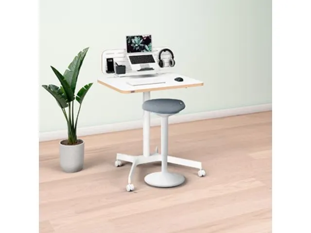 Ergo Mobiele Thuiswerkplek set pakket 1