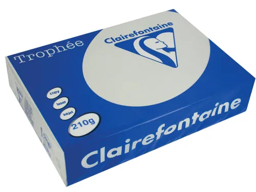 Trophée Pastel gekleurd papier A4 210 gram 250vel Lichtgrijs