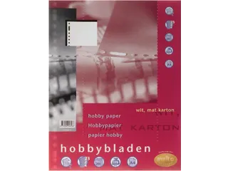 Interieur Multo 23-Gaats Hobbyblad 140gr 20 vel Wit - 2