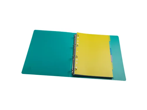 Tabbladen PP FOREVER YOUNG A4 6 tabs