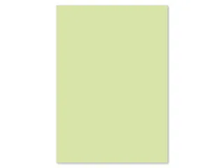 Papier Kangaro A4 120grs lichtgroen pak 100 vel - 3