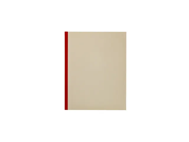 Kasboek Quantore 165x210mm 160blz 1 kolom rode rug assorti