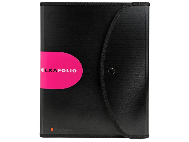 Sorteermap Exacompta Exactive Exacfolio 6 Vaks Zwart