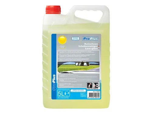 Ruitenvloeistof ProPlus zomer kant en klaar 5 Liter