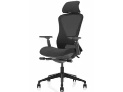 Ergonomische Bureaustoel Arbo NEN-EN 1335 Zwart Mesh Met Hoofdsteun