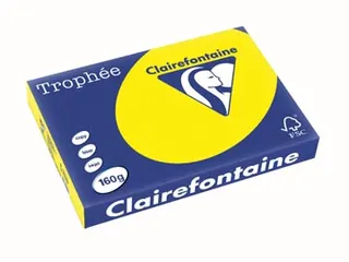 Trophée Intens gekleurd papier A3 160 gram 250vel Zonnegeel - 2