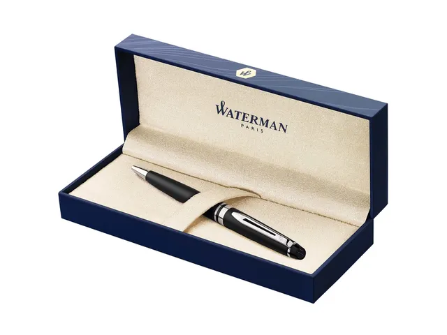 Stylo Bille Waterman Expert Noir Mat CT pointe moyenne