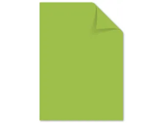 Papier Kangaro A4 80grs helgroen pak 100 vel - 1