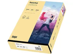 Inapa Tecno colors Gekleurd papier A4 Chamois 160 gram 250vel
