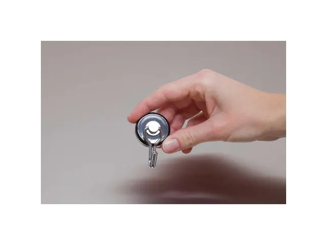 Crochet magnétique MAUL Ø35mm 5kg metal 2 pièces