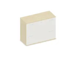 hangmappenkast 770x1000x430mm 2hangmappenframes Esdoorn+ wit