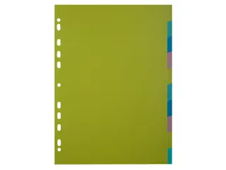 Tabbladen PP FOREVER YOUNG A4 10 tabs - 1