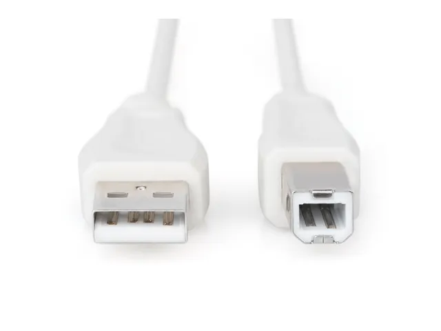 USB 2.0 Aansluitkabel Type A - B St/St 1,8m Beige