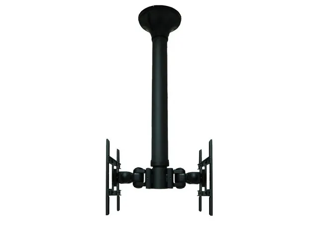Support plafond pour 2 écrans Neomounts FPMA-C200D Noir