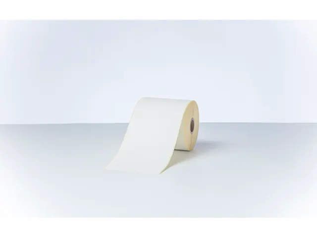 Brother BDE-1J000102-102 zwart op wit doorlopende labelrol van 102 mm