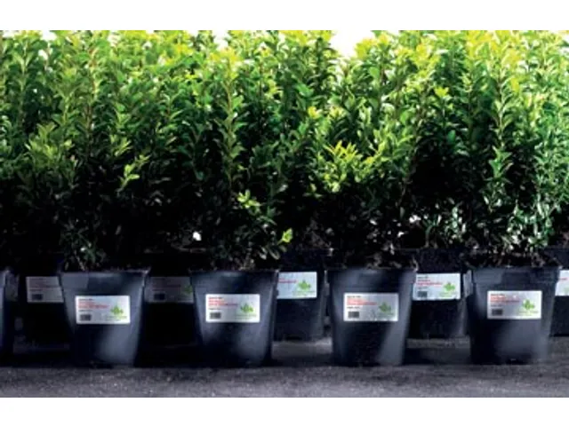 Avery Zweckform Ultra-Sterke Etiketten wit 63.5x33.9mm Wit 240 stuks