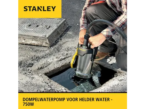 Stanley Dompelpomp Roestvrij Staal Helder Water 750W