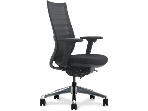 Bureaustoel Deluxe Zwart met Lendensteun Ergonomisch