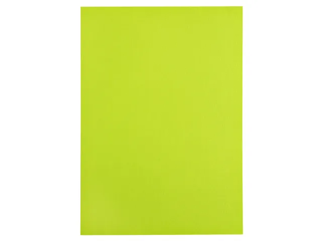 Kopieerpapier Papicolor A4 100gr 12 vel appelgroen