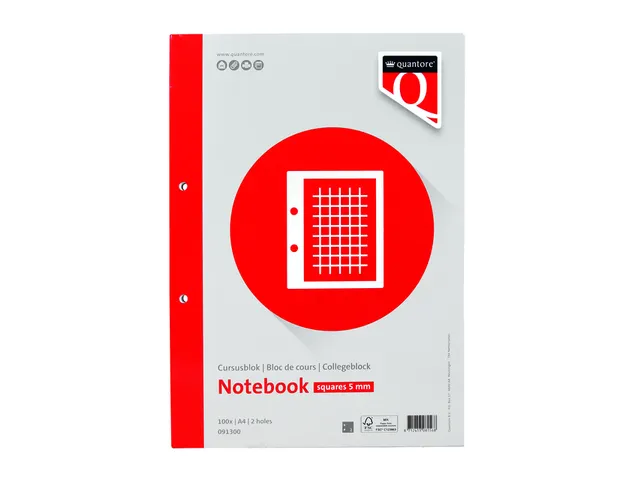 Cursusblok Quantore A4 ruit 5mm 100vel 80gram met kantlijn+