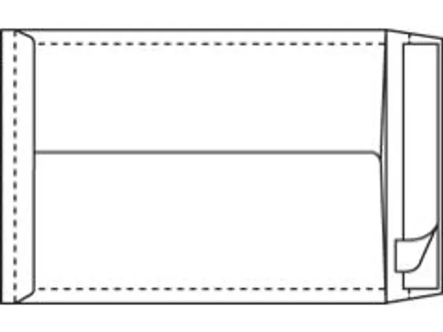Akte Envelop H-Bodem Tyvek 250x353x38mm Wit zelfklevend 100 Stuks
