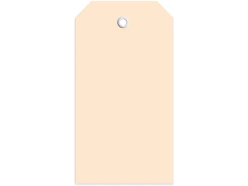 Herma 6018 Hanglabel 60x113mm Bruin karton met plastic oogje 1000 stuk