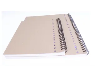 Collegeblok Multo A4 ruit 10mm 23gaats 160pagina's 90gram - 4