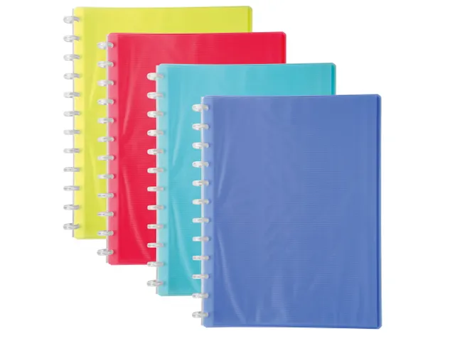 Showalbum LINICOLOR PP ring 20 tas ass