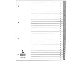 Tabbladen PP Set 1-31 Met Indexblad A4 11-Gaats Grijs - 2